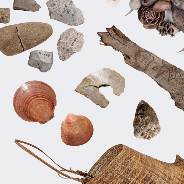 A variety of materials, incluing shells, bark and rocks