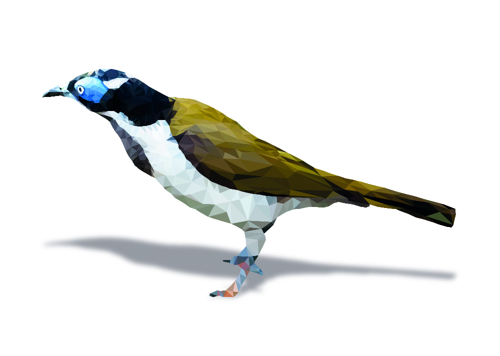 Image of a blue-faced honeyeater