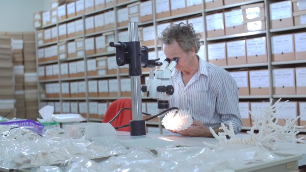 Queensland Museum STEM careers, Man in lab