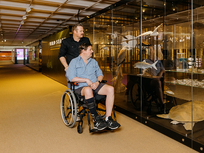 a man in a wheelchair being pushed by another man look into the Wild State glass cabinets 
