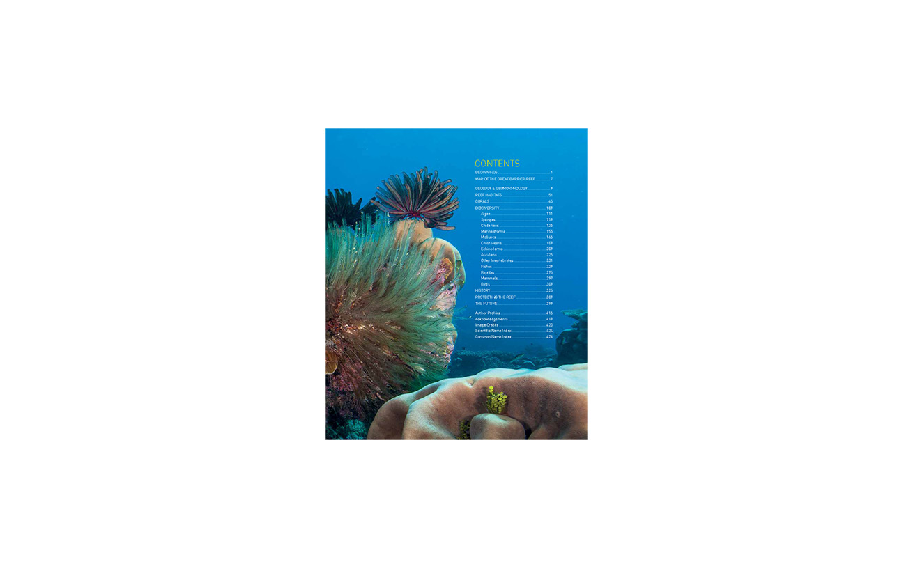 洋書 The Great Barrier Reef by Allan Power The Great Barrier Reef - Allan Power – Unabridged Adventures