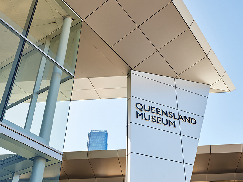 Qld Museum 500 - Error occurred | Queensland Museum Tropics