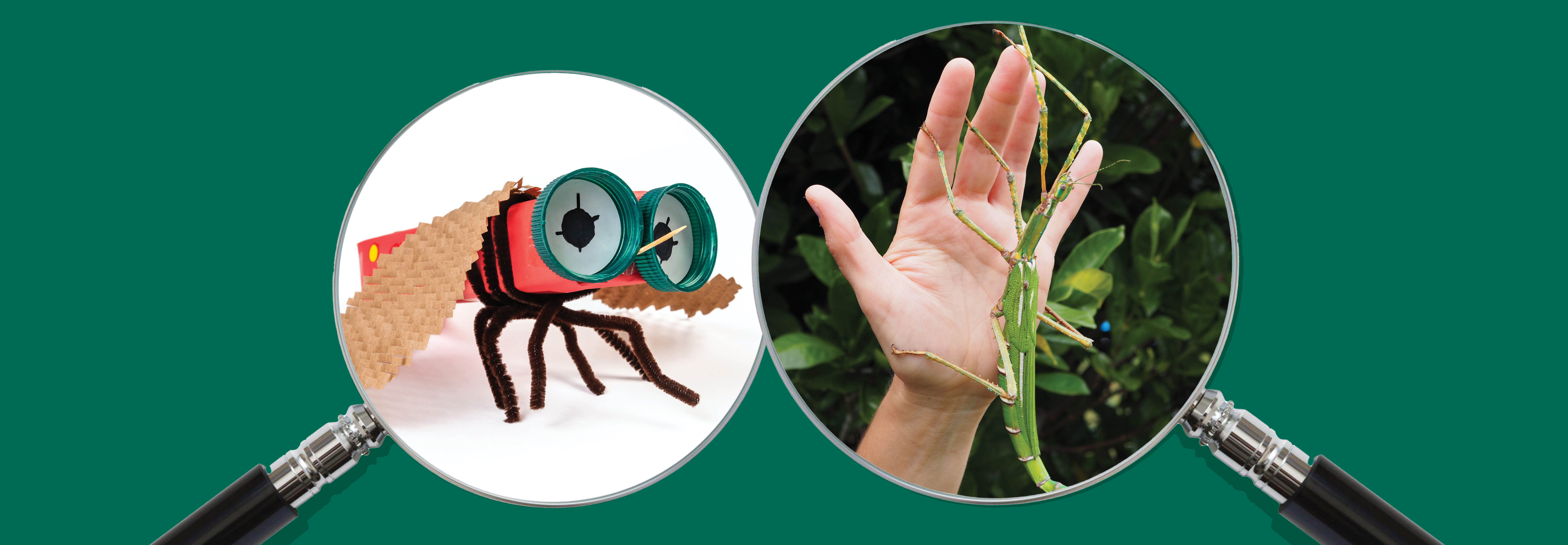 2 magnify glasses on strong green background featuring a recycled bug and a live insect on a hand