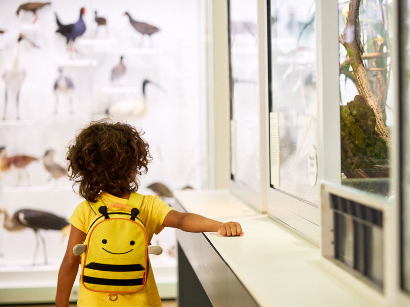 A child walks through the Discovery Centre wearing a backpack featuring a bumble bee design