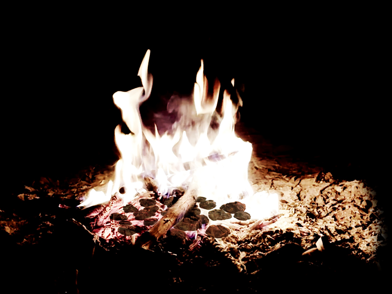Photograph of a campfire against a dark background