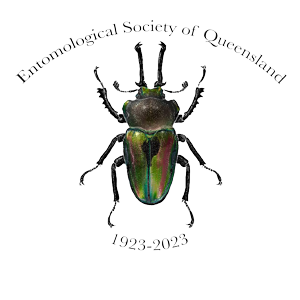 Entomological Society of Queensland logo