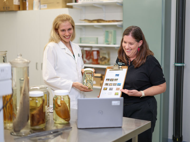Queensland Museum educators presenting an online workshop